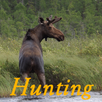 Fish Buck Lake Wilderness Lodges and Outposts — Fly-In Fishing Lodge, Northern Ontario