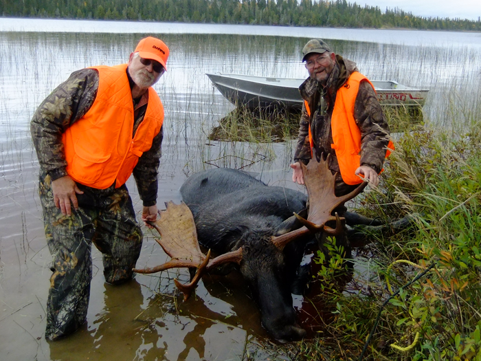 Trophy moose fly-in hunt Northern Ontario boreal forest