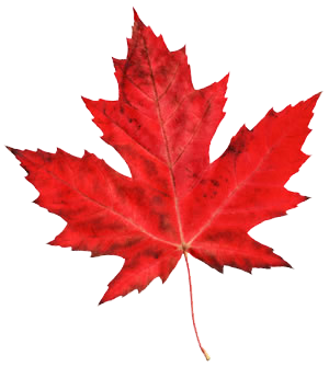 mapleleafLT